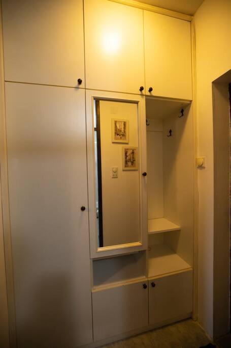 Cushy Apartment Close To City Centre Podgorica Kültér fotó